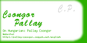 csongor pallay business card